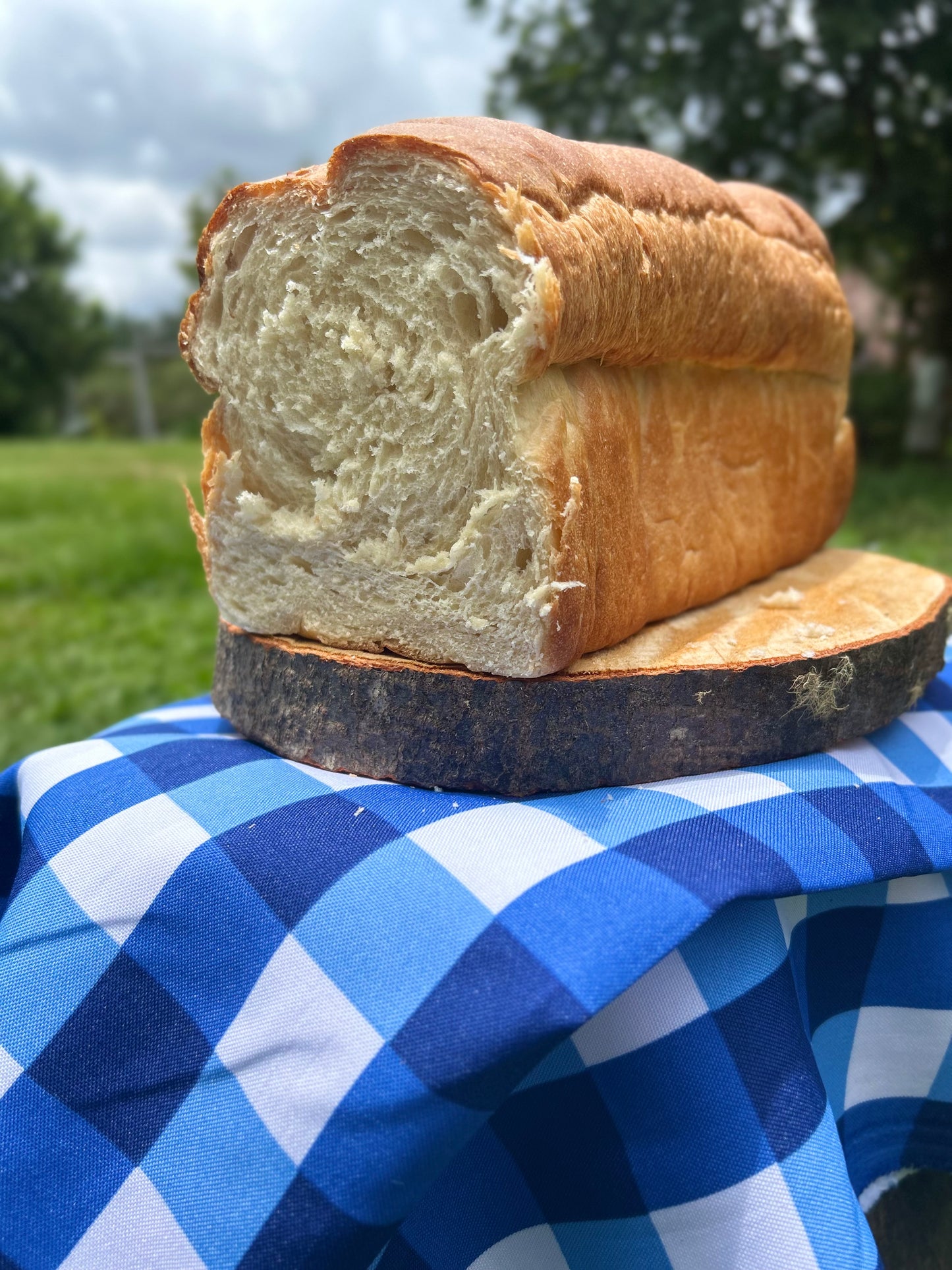 Pan Blanco de Masa Madre - Artesanal