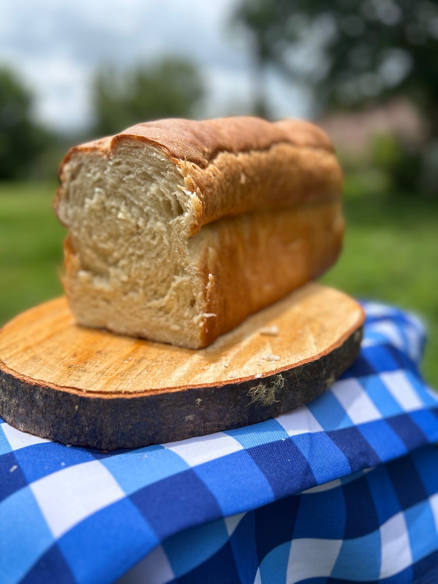Pan Blanco de Masa Madre - Artesanal