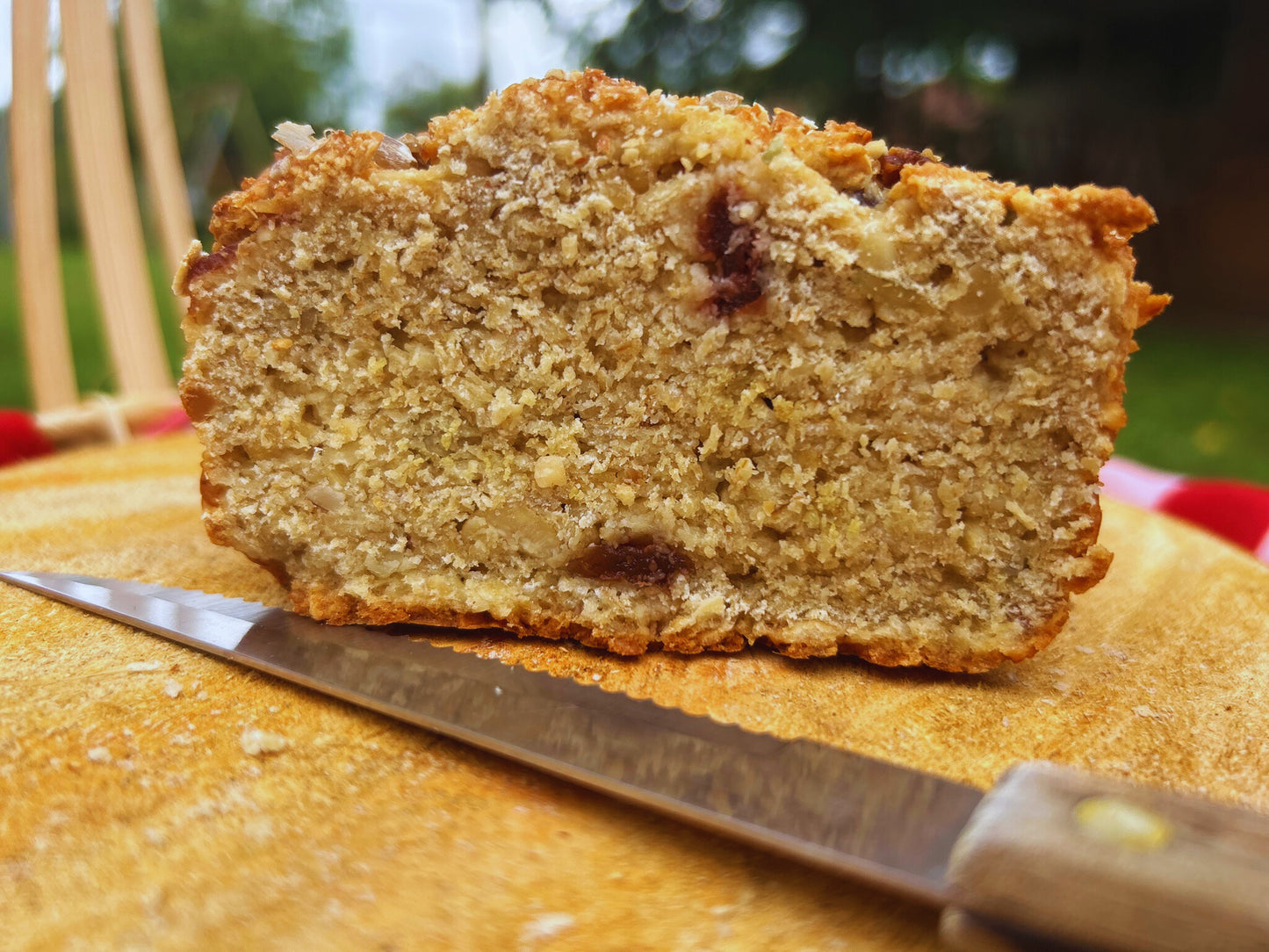 Pan de Avena y Arandanos